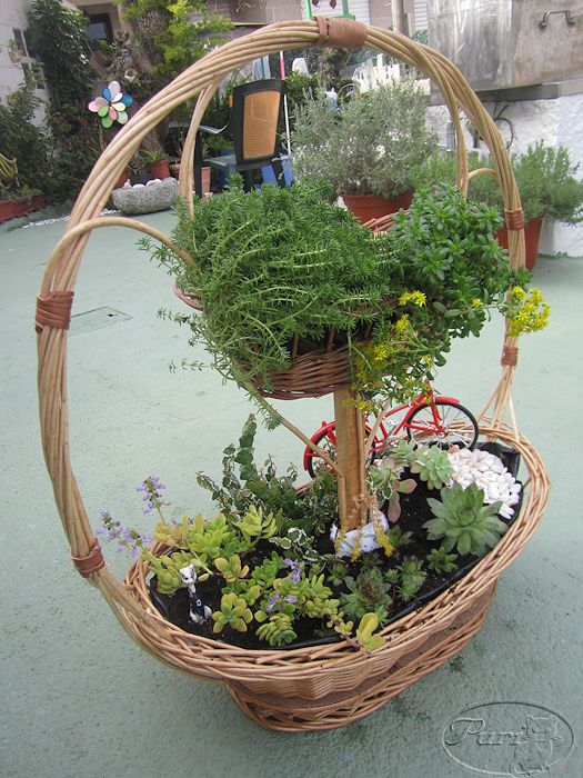 mini+jardin+en+cesta+de+navidad.jpg