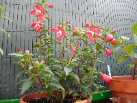 mini_130618075043522134.jpg