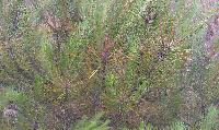 mini_130621081040742601.jpg