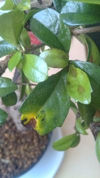 mini_140615015116462744.jpg