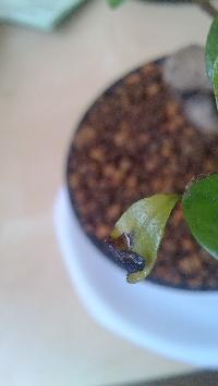 mini_14061501512946652.jpg