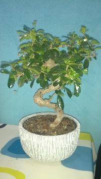 mini_140615023546721196.jpg