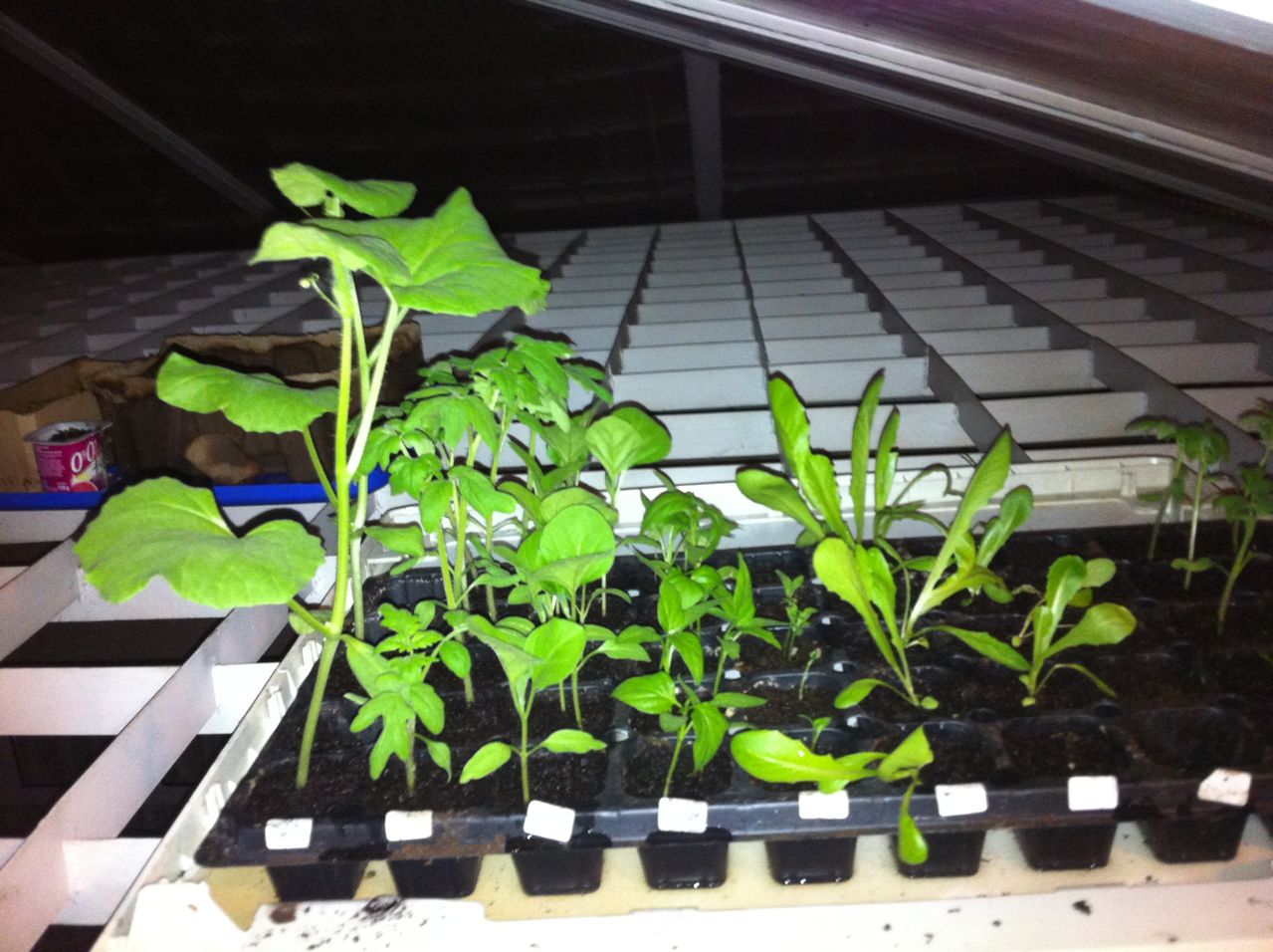 mini_2014_05_15_22_20_18.jpg