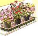 miniatura-en-la-ventana.jpg