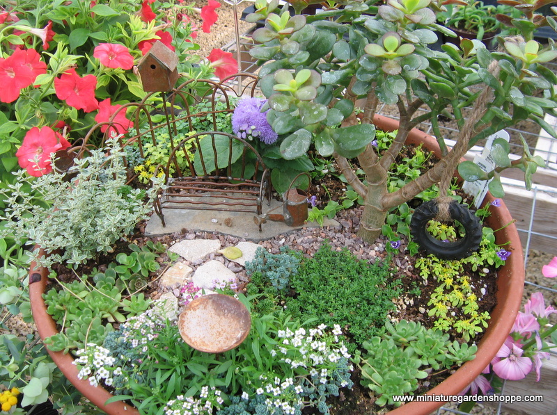 miniature_garden_11.JPG
