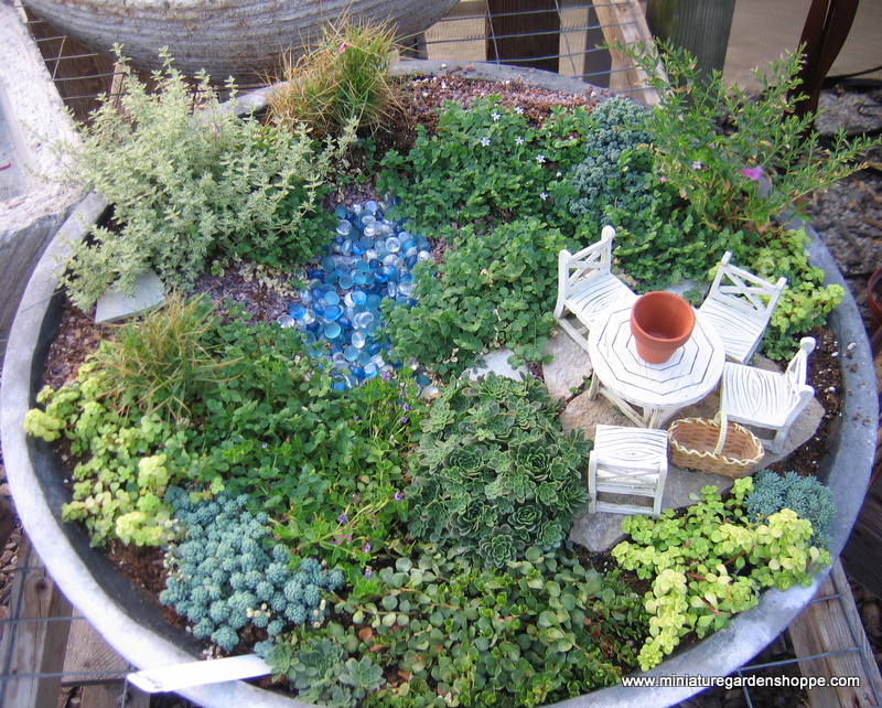 miniature_garden_12.JPG