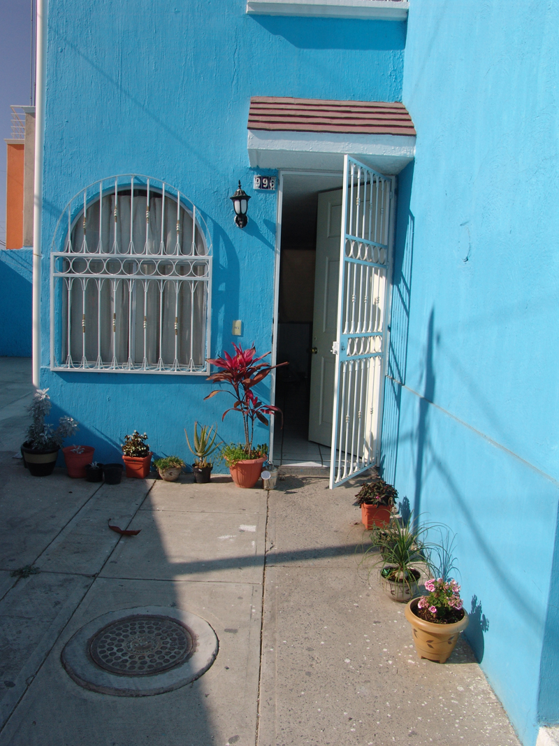 mis-plantas-2.jpg