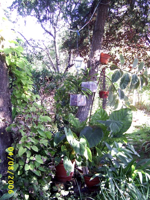 Mis_vanditas_000021.jpg