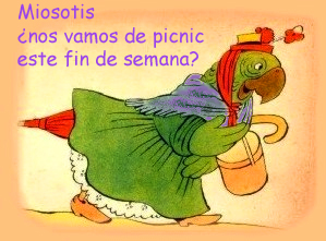 MISIA%20PEPA%20.jpg
