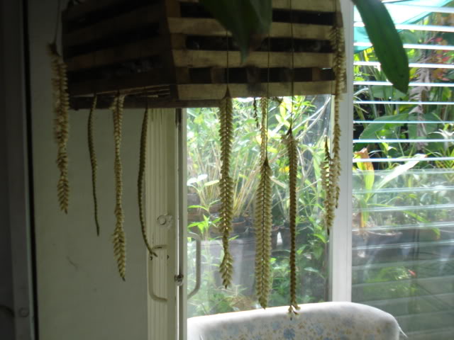 miviajealsalvador004.jpg
