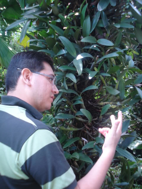 miviajealsalvador016.jpg