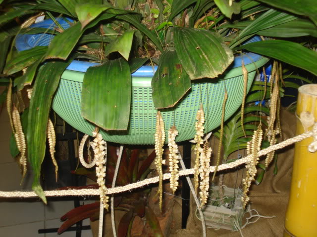 miviajealsalvador079.jpg