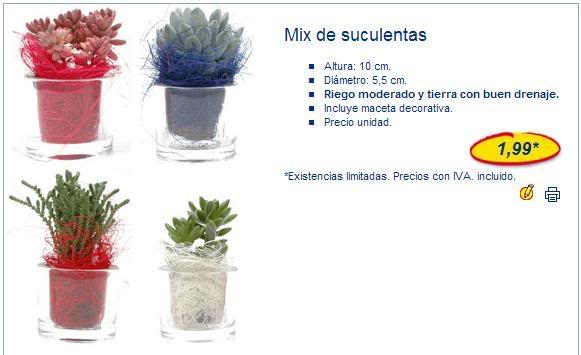 MixSuculentas.jpg