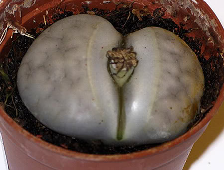 ml_01901.jpg