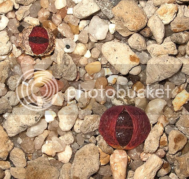 ml_07602_zpsxsihubeg.jpg