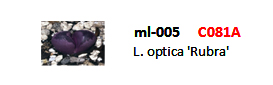 ml_pi_11_03_zpsfd5c9249.jpg