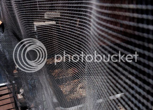 ml_pi_56_01_zpslb75dp2v.jpg