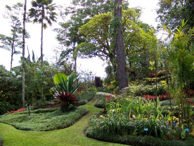 mob-wilson-botanical-gardens-las-cruces.jpg