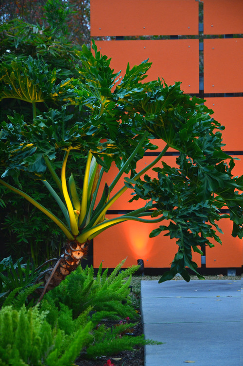 moderno-jardin.jpg