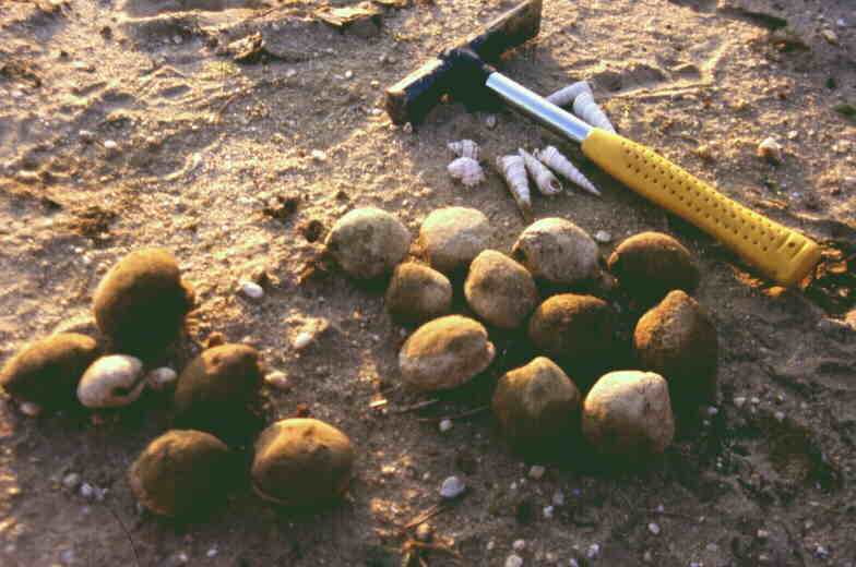 moldes_villarrasa_163.29.jpg