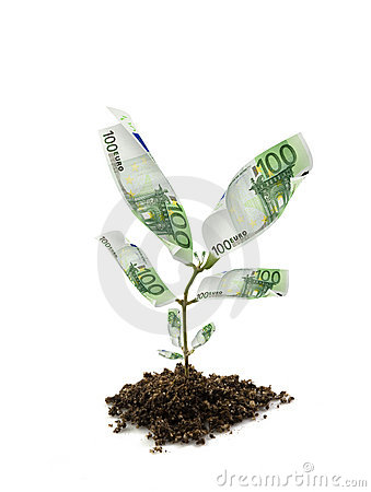 money-plant-thumb6949571.jpg