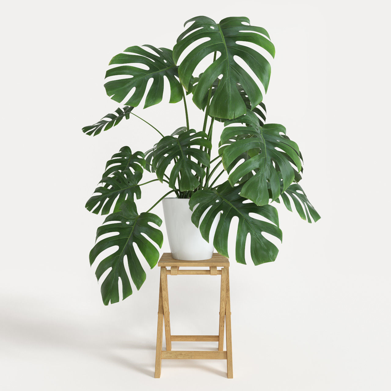 monstera-3d-model-max-obj-fbx-mtl.jpg