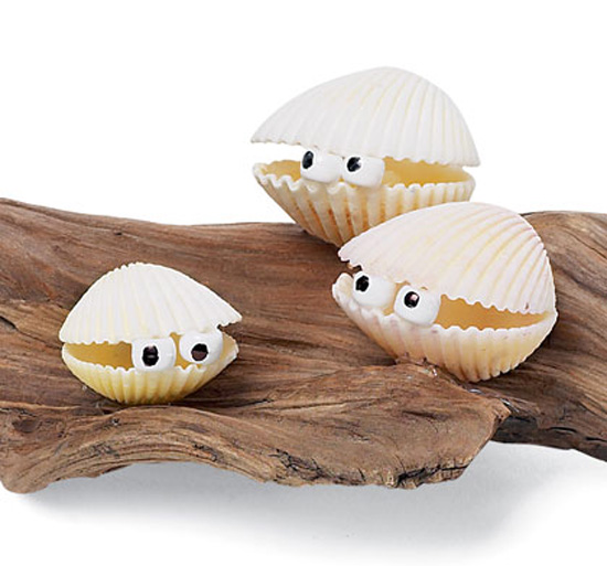 monstruos_conchas.jpg
