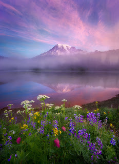 monta%C3%B1a-con-flores-de-primavera-mountain-and-flowers-paisaje-landscape.jpg