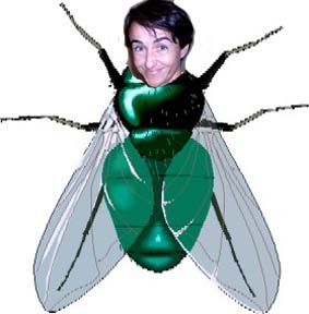 mosca.jpg