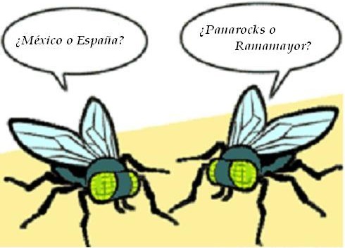 Mosca.JPG