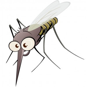 Mosquitomyths-300x300.jpe