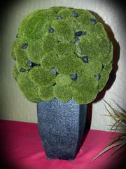 moss%20topiary%20ball_medium.jpe