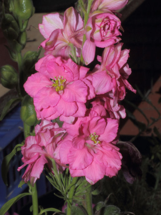 mp_consolida_doble_2013_01.jpg
