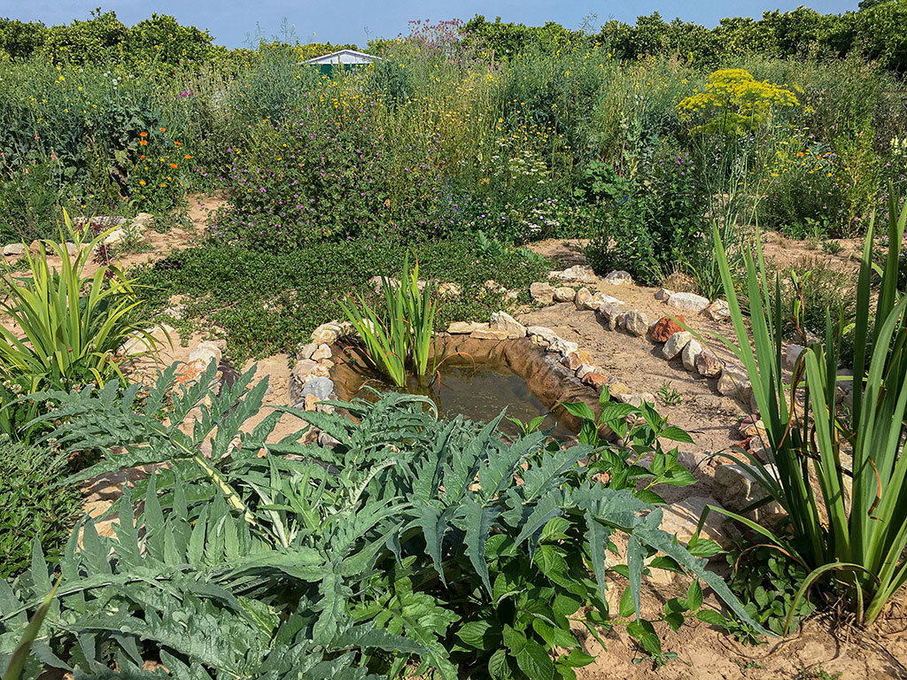 mp_global20210531_02.jpg