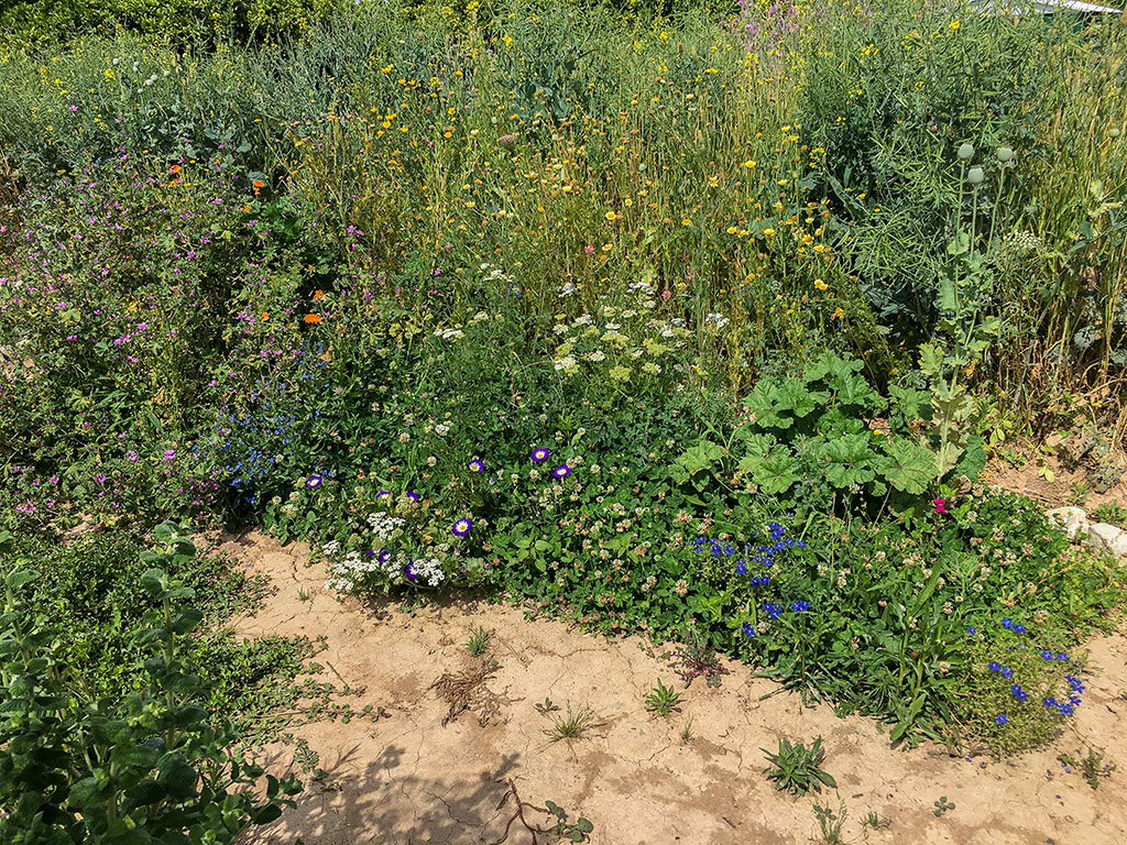 mp_global20210531_04.jpg