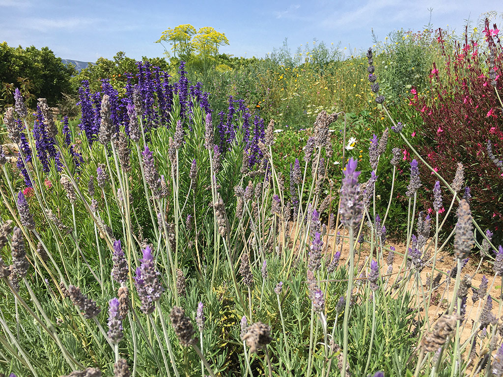 mp_global20210531_06.jpg