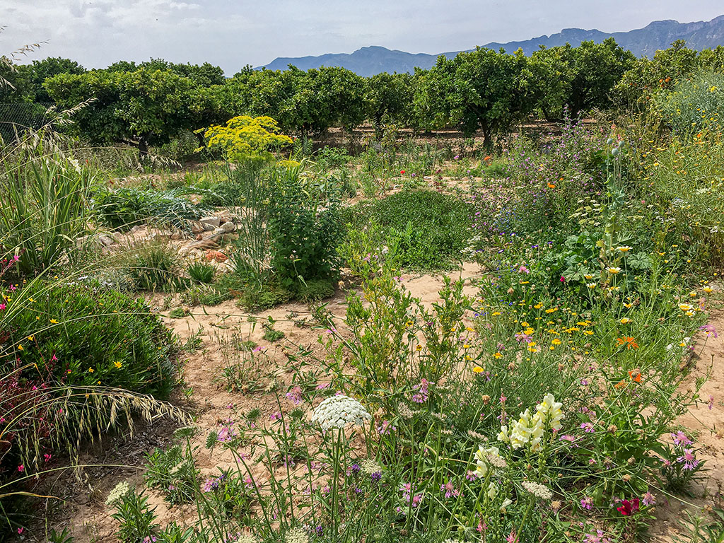 mp_global20210531_08.jpg