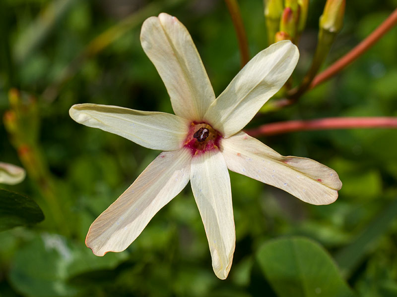 mp_ixia_pae_2021_01.jpg