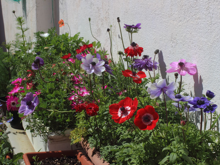 mp_var_2015_05.jpg