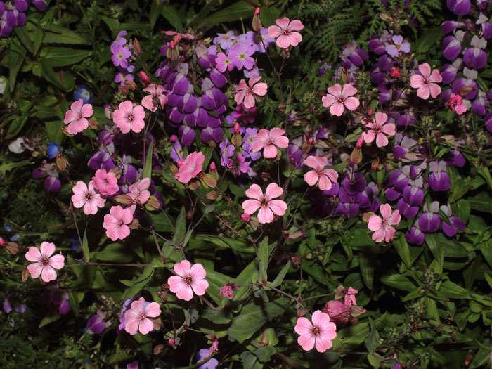 mp_var_2015_08.jpg