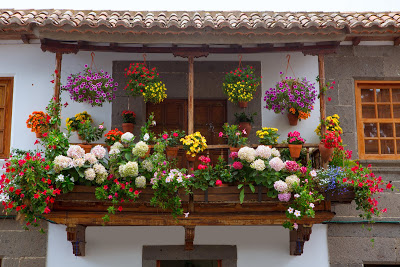 muchas-flores-de-colores-en-la-fachada-de-una-linda-casa-en-primavera-flowers.jpg