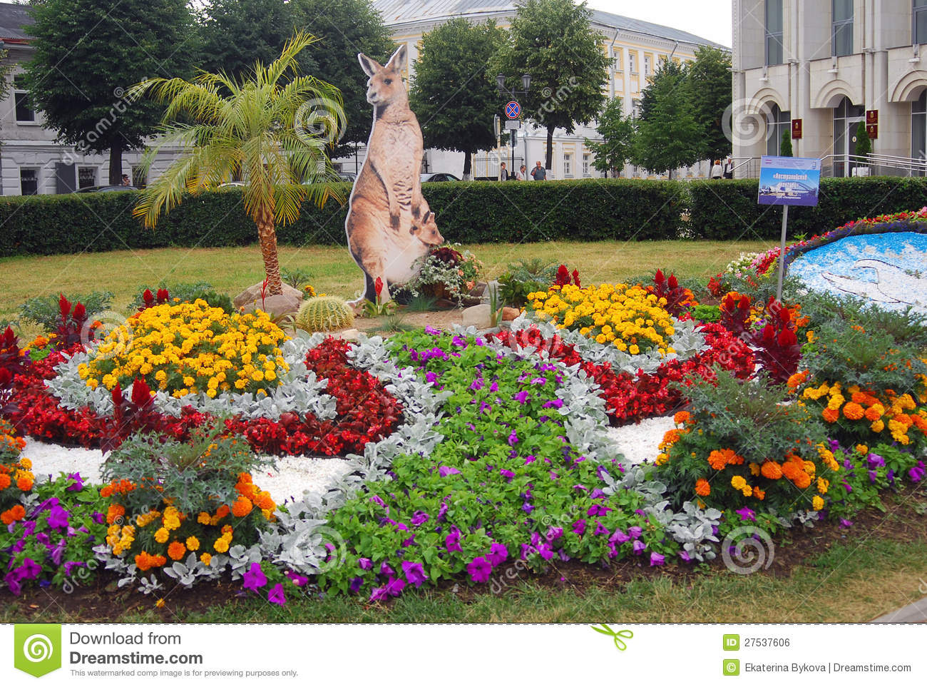 muchas-flores-hermosas-y-modelo-del-canguro-27537606.jpg