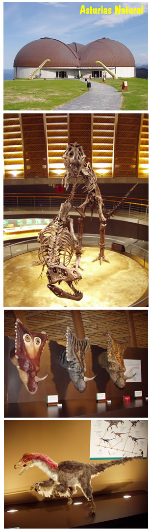 muja_museo_jurasico_de_asturias.jpg