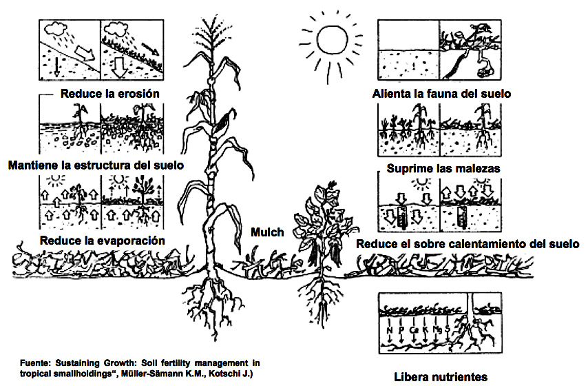 mulch_utilidad.jpg