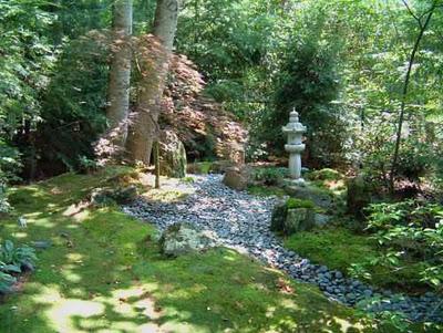 musgo-el-jardin-L-IEPJjC.jpe