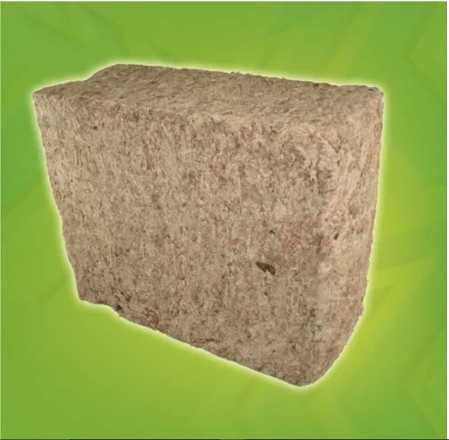 musgo.jpg