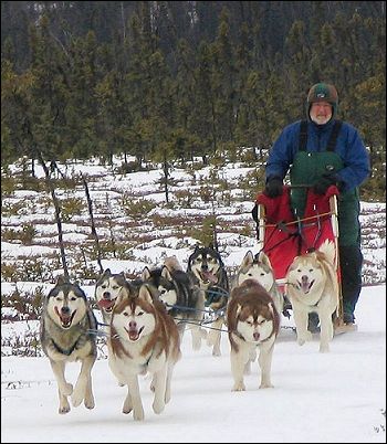 mushingalaska_1.jpg