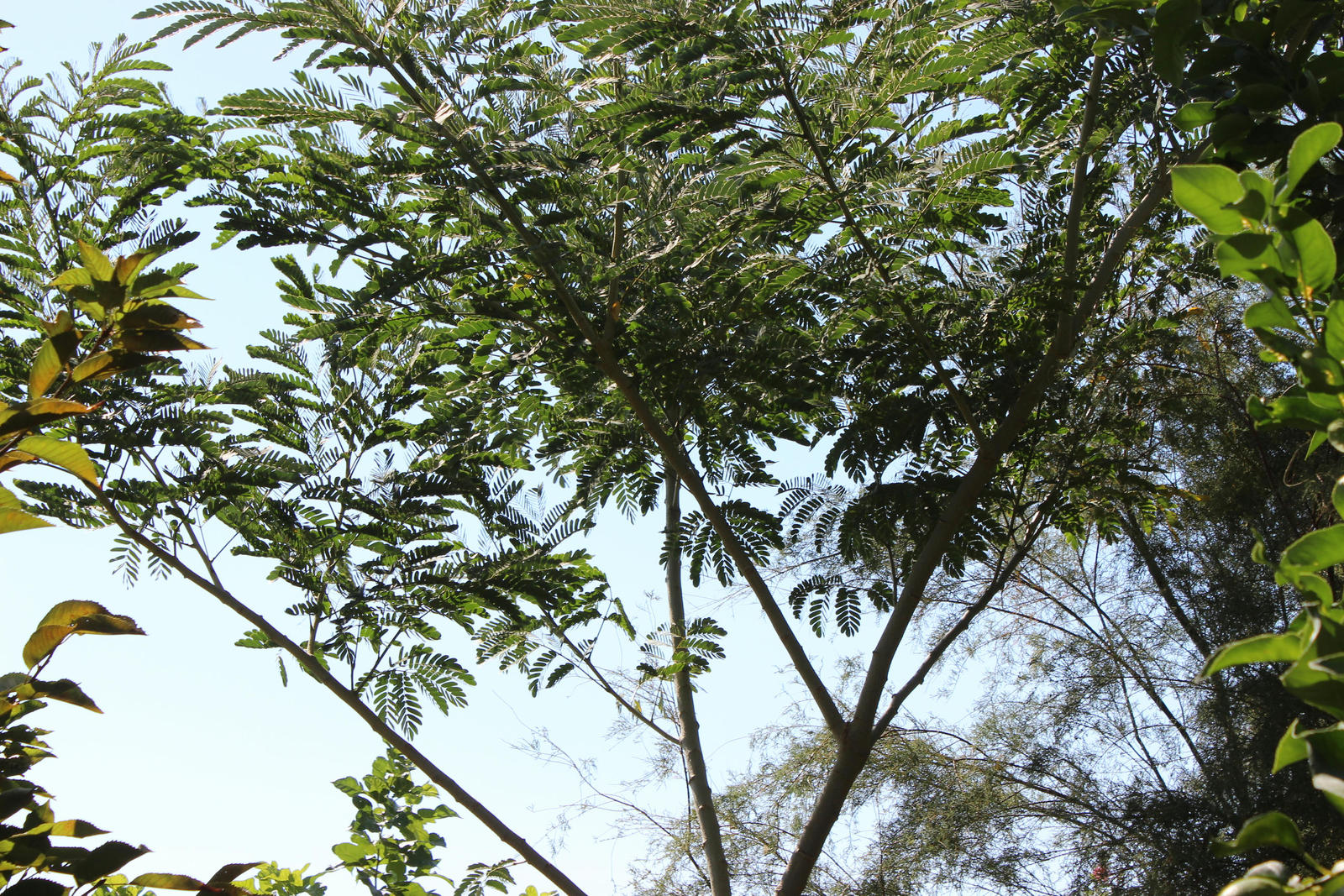 mwt01w8kmjkh183zg.jpg