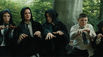 My-Favourite-Slytherin-Characters-slytherin-19442907-339-189.gif