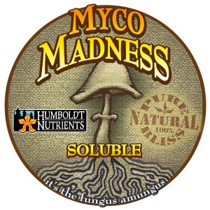 mycomad_01.jpg